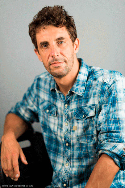 Antoine Wystrach
